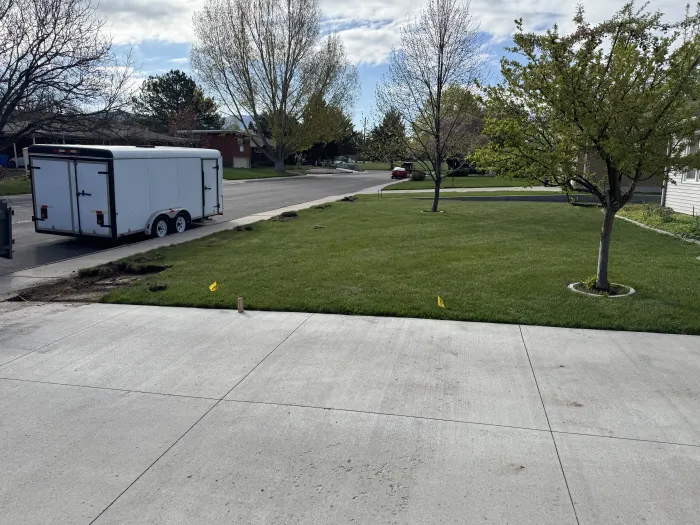 A plain lawn and bare strip beside a driveway.