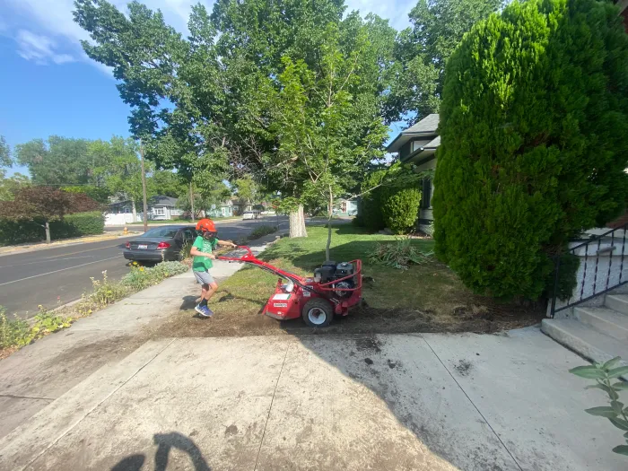 A young helper running a tiller through a front lawn beside a sidewalk.
