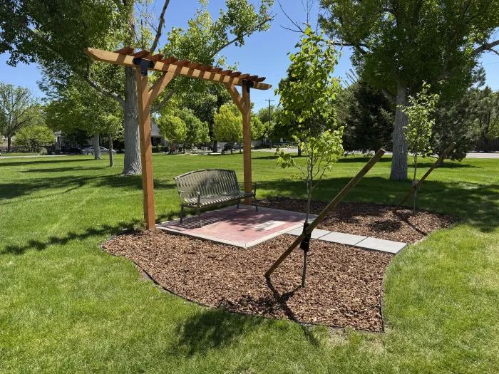 Park bench under a redwood pergola on a paver pad, with a mulch bed and young trees in a park lawn.