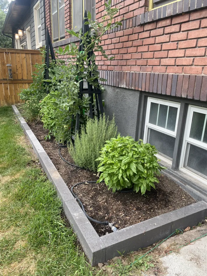 Raised planting bed with a concrete block border along the wall of a brick house.