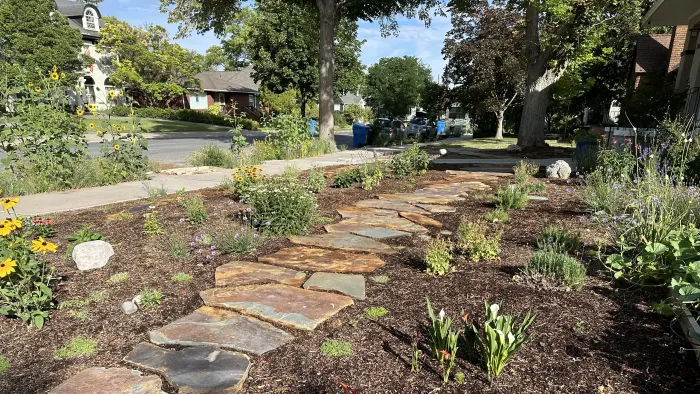 Flagstone stepping path running through freshly planted beds of perennials along a street.