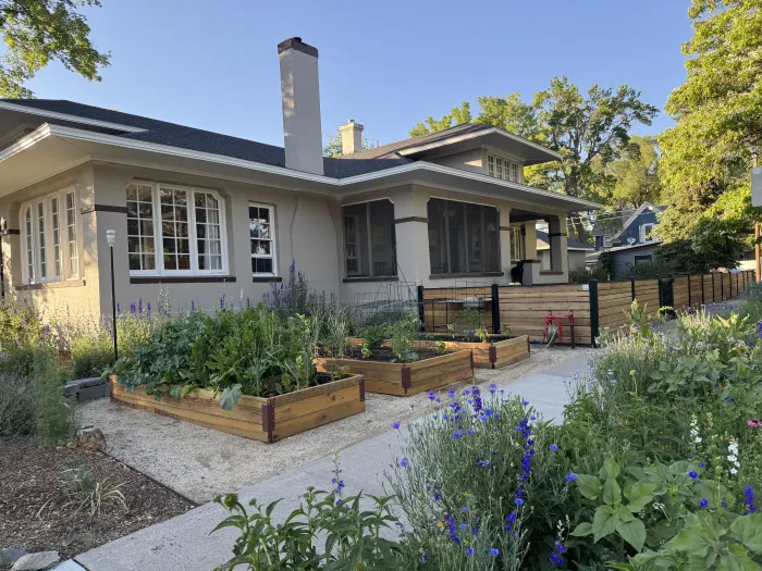 Front yard of a craftsman bungalow with raised wooden vegetable beds, flowers and a low fence.
